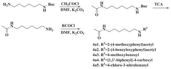 Scheme 2