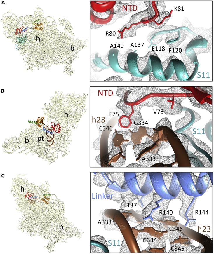 Figure 2