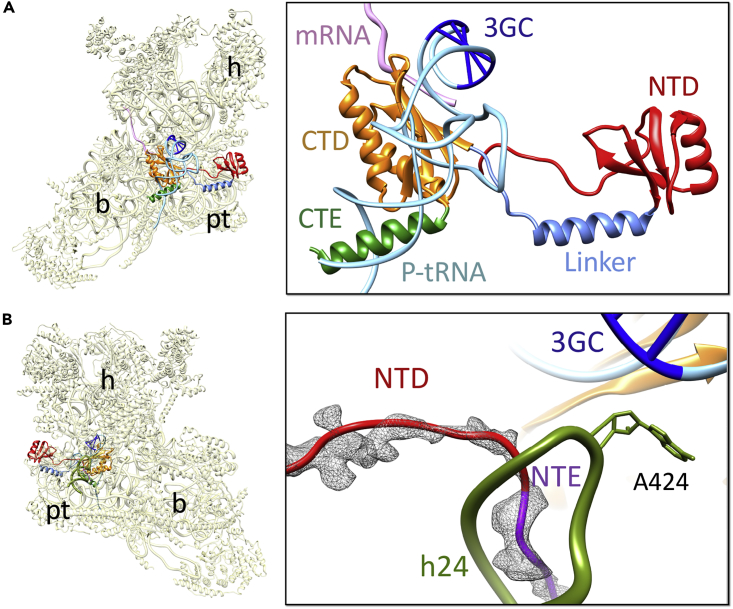 Figure 4