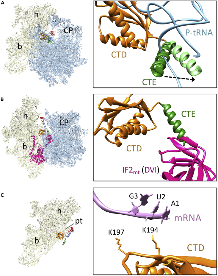 Figure 5