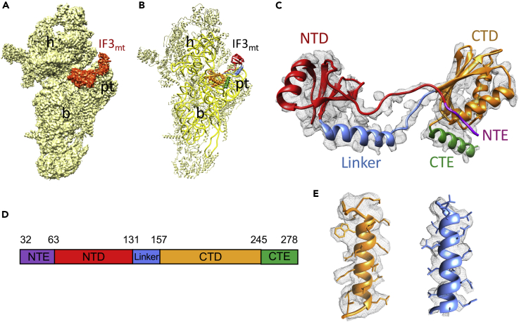 Figure 1