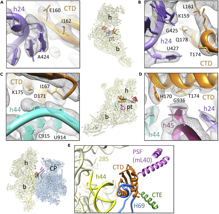 Figure 3