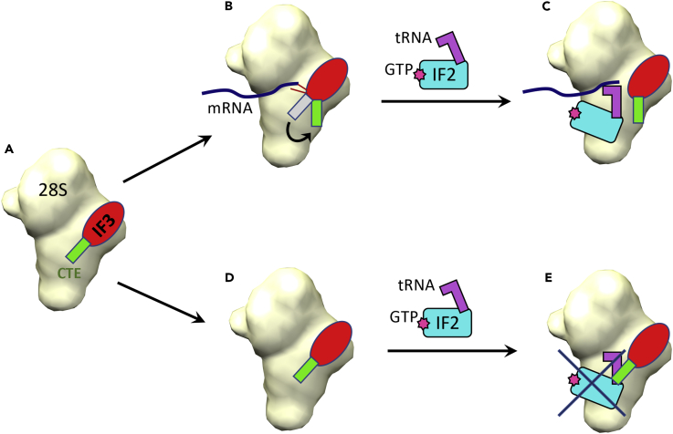 Figure 6