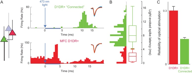 Figure 2.