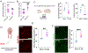 Figure 4-