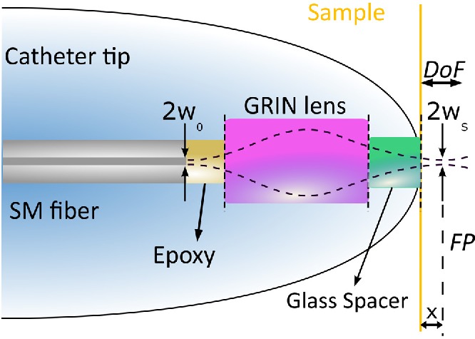 Fig. 1