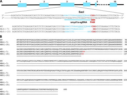 Figure 6