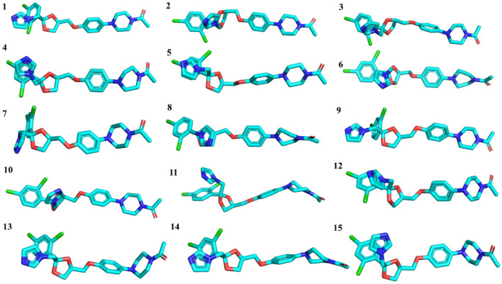 Fig. 10