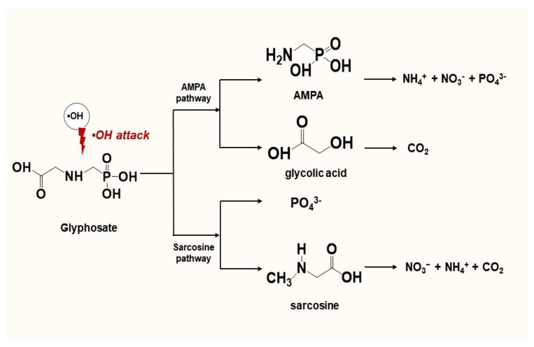 Figure 12