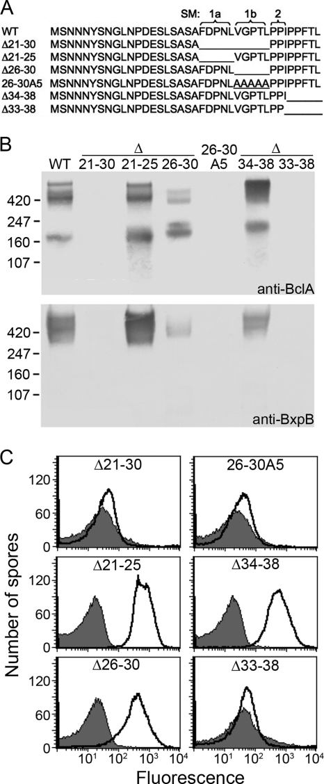 FIG. 5.