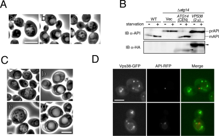 Figure 6.