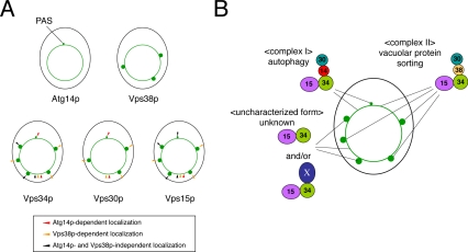 Figure 10.