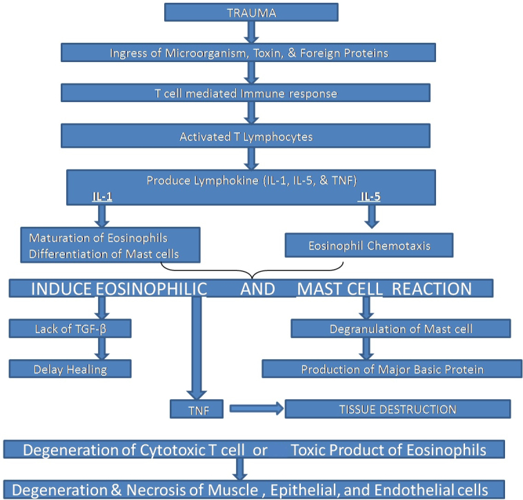 [Table/Fig-4]: