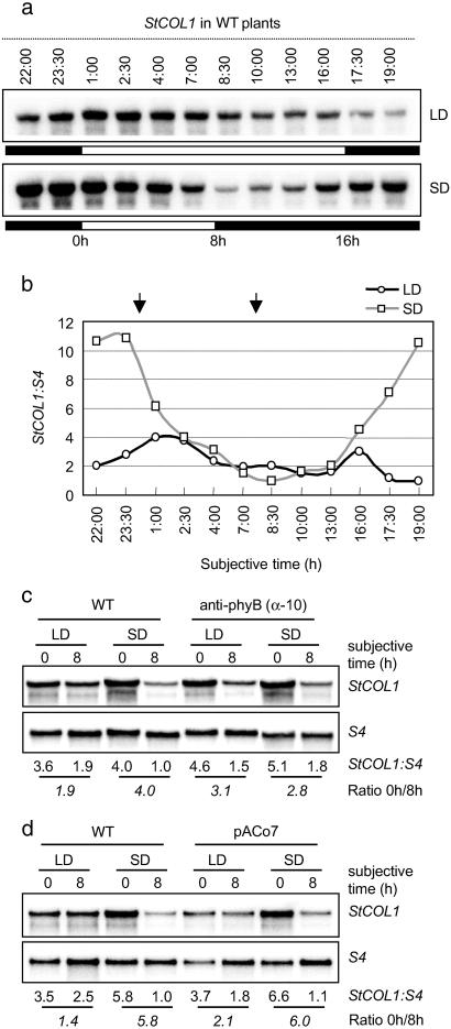 Fig 2.