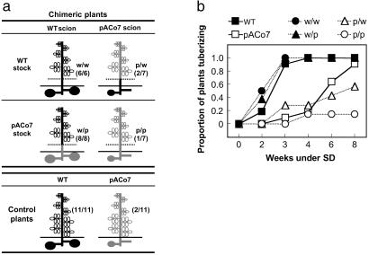 Fig 3.