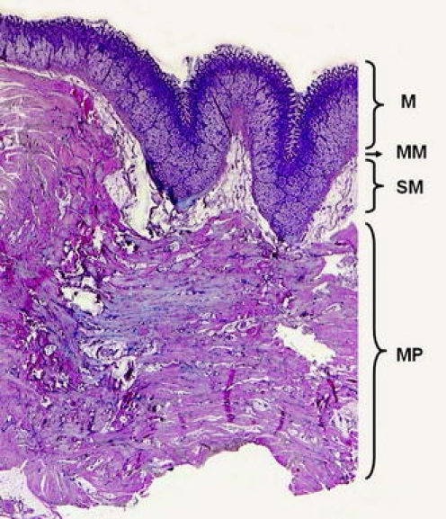 Fig. 3