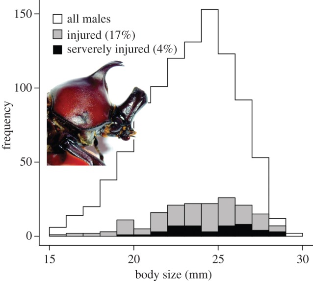 Figure 2.