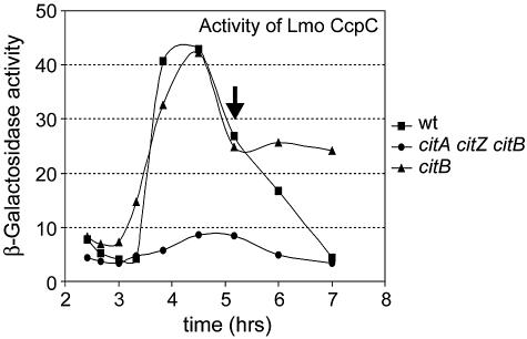 FIG. 8.