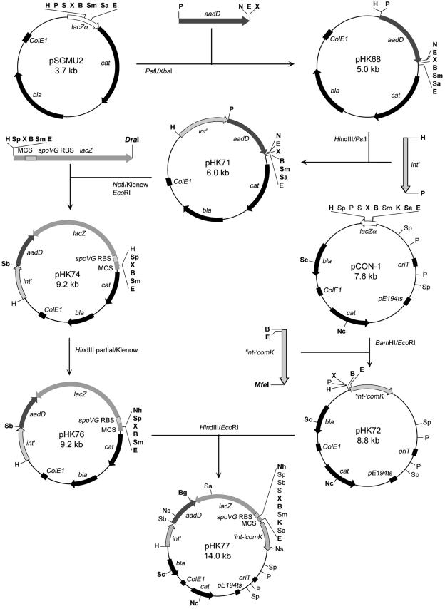 FIG.2.