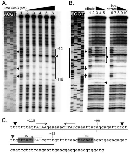 FIG. 5.