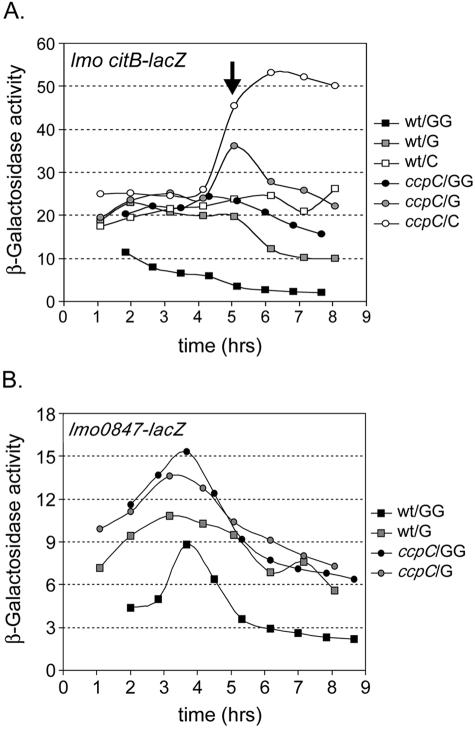 FIG. 7.