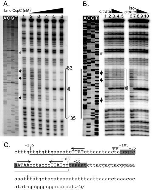 FIG. 6.