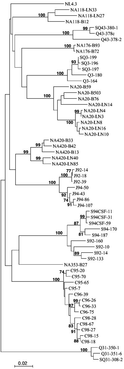 FIG. 1.