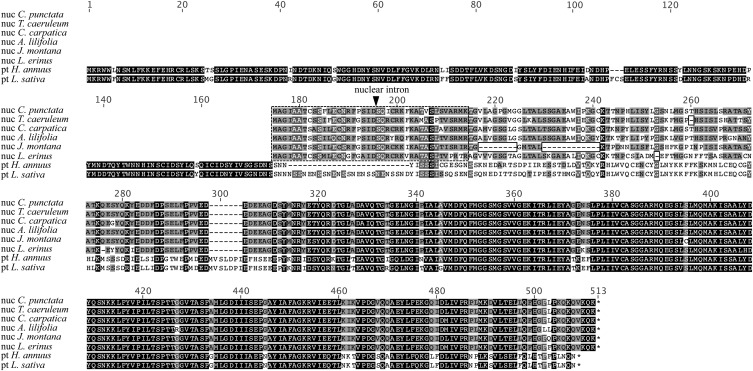 Figure 6.