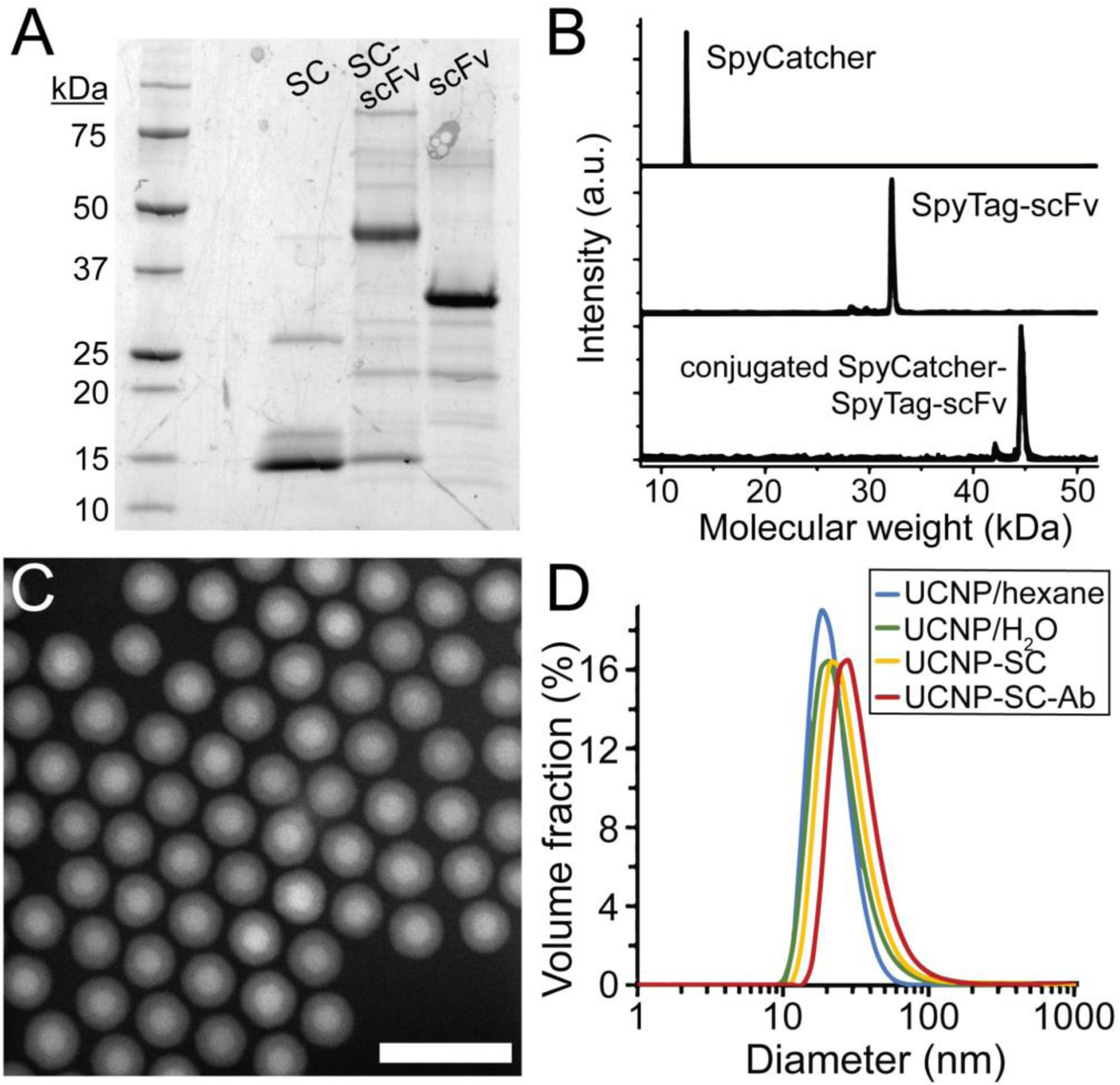 Figure 2.