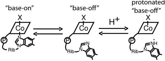 Scheme 1.