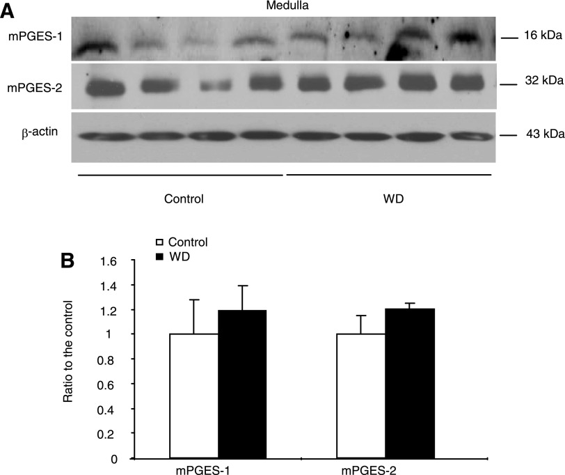 Fig. 9.