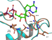 Extended Data Figure 3