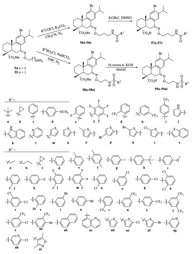 Scheme 10