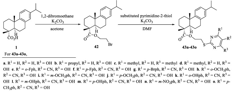 Scheme 6