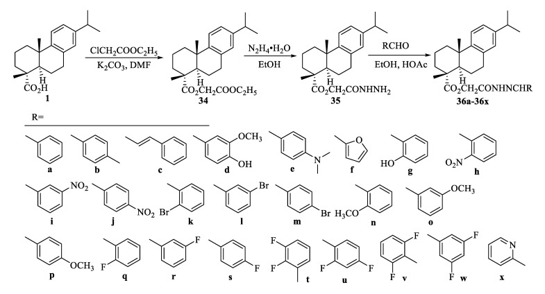 Scheme 3