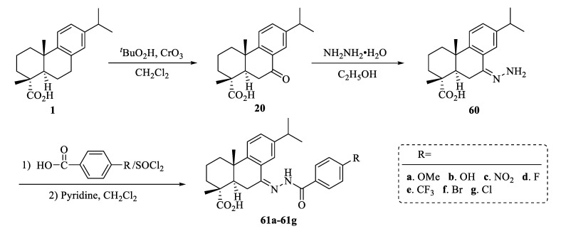 Scheme 11