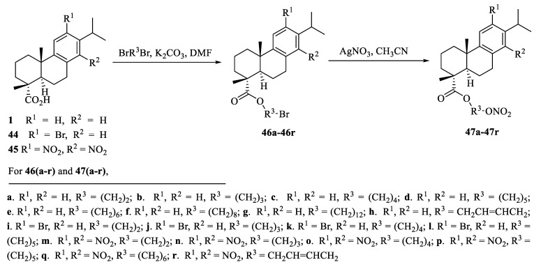 Scheme 7