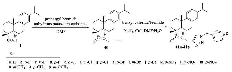 Scheme 5