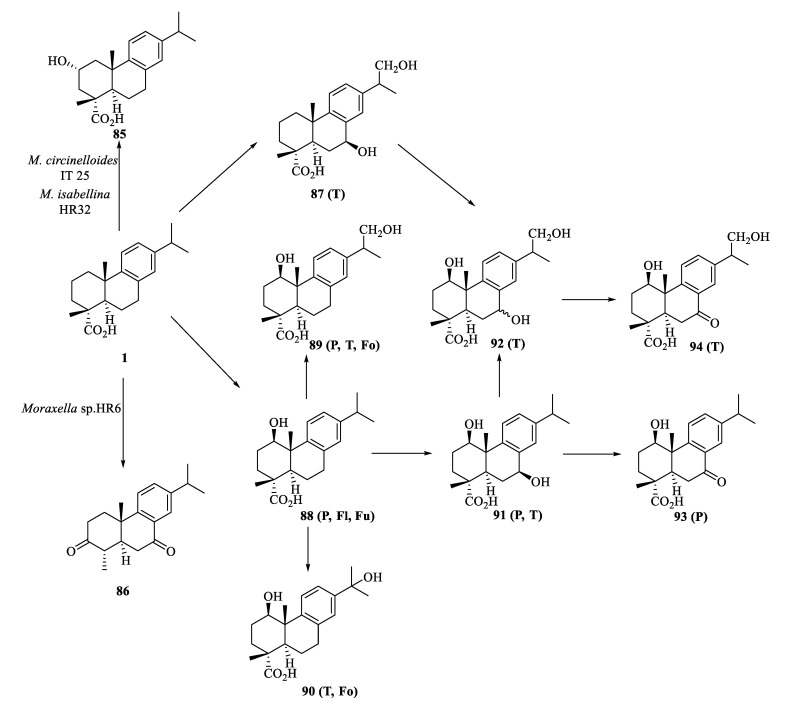 Scheme 18