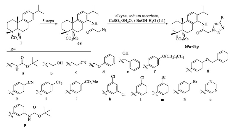 Scheme 13