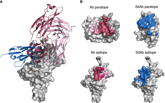 Figure 14