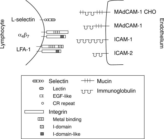 Figure 2  