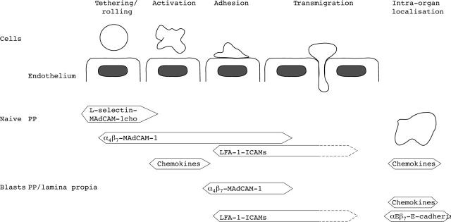 Figure 1  