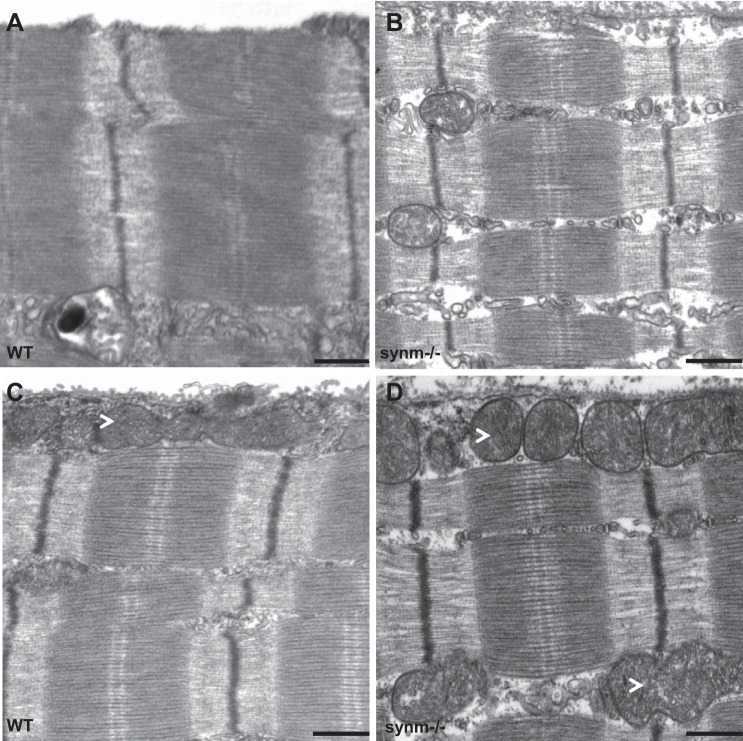 Fig. 6.