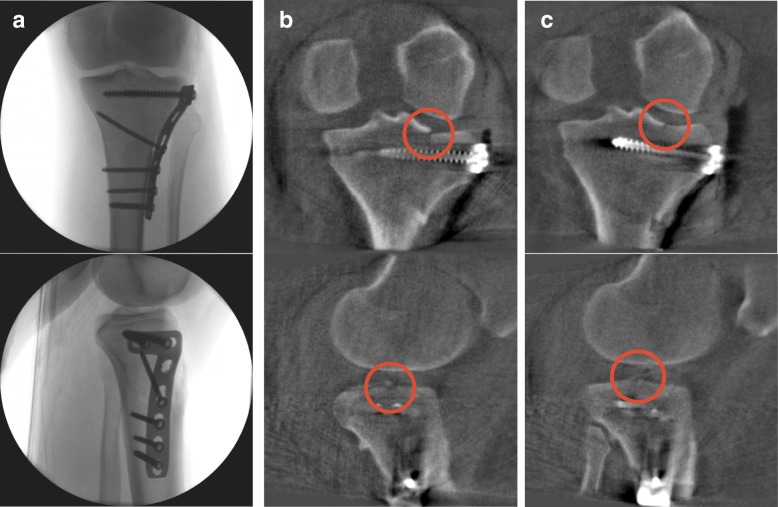 Fig. 3