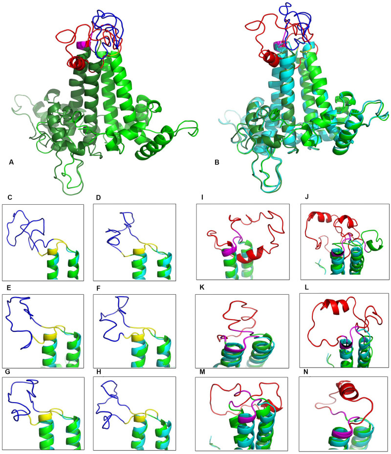 FIGURE 3