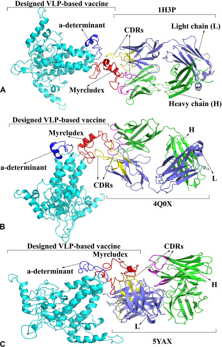 FIGURE 7