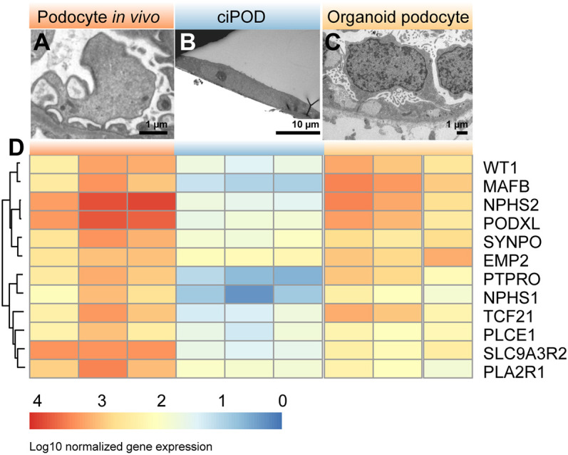 Fig. 3.