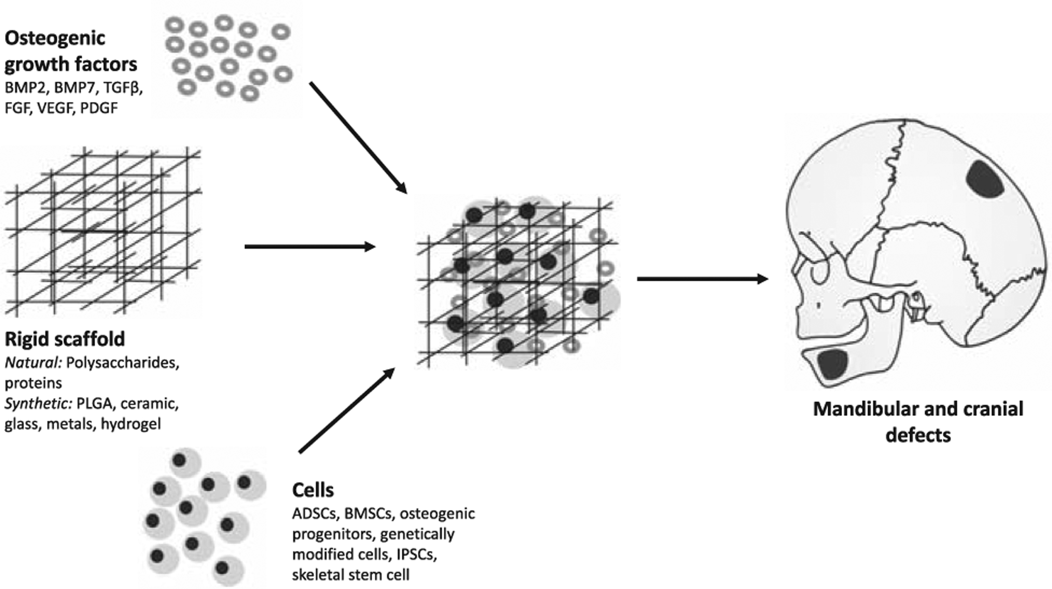 FIGURE 2.