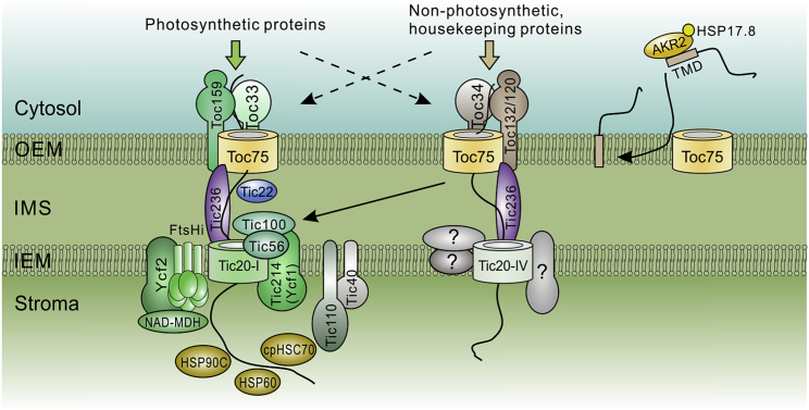 Figure 1